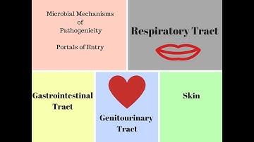 Portals of Entry | How to Study Microbiology