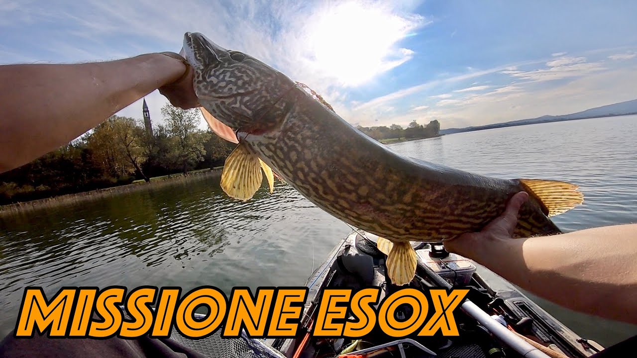 LUCCI DI AUTUNNO, BIG FISH IN KAYAK lago di Pusiano 