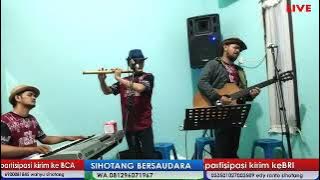 Tio Pe Mual Dang Tarinum Au || Anak Tading Tadingan || Uning2an || Cover SIHOTANG BERSAUDARA