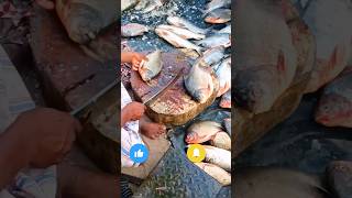 👉 Fresh Fish Cutting in Village 🔪🐟 #shorts
