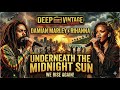 Deep Vintage Vibration 📻 Damian Marley & Rihanna Fusion#reggae#reggaemusic#music