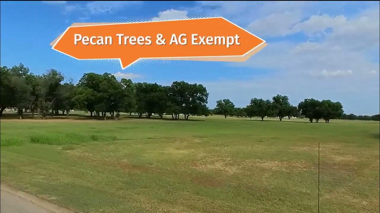 Driftwood Estates Entry YouTube