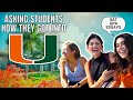 Asking students how they got into the University of Miami