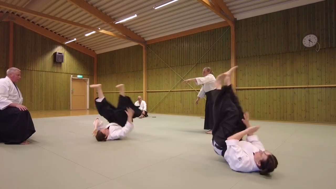 Aikido, Exsam, 3 Dan Sandan by Maria Johansson,  Examinator Joachim von Rost, Seminar 2025, Öregrund