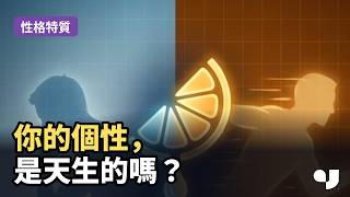 性格特質是出廠設定嗎？｜奧爾波特、卡特爾到艾森克，三位大師怎麼看你的個性【人格心理學 第7章】