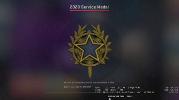 CS:GO 2020 Service Medal (Level 1)