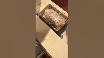 Above-Ground Termite Station | Atlantic Pest and Termite Management, Inc | 843-795-4010