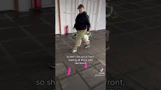 Dog Aggressive Staffordshire Bull Terrier.