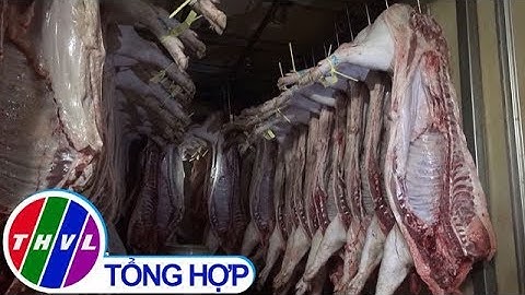 THVL | Kêu gọi không "tẩy chay" thịt heo, túc trực 24/24h kiểm soát dịch