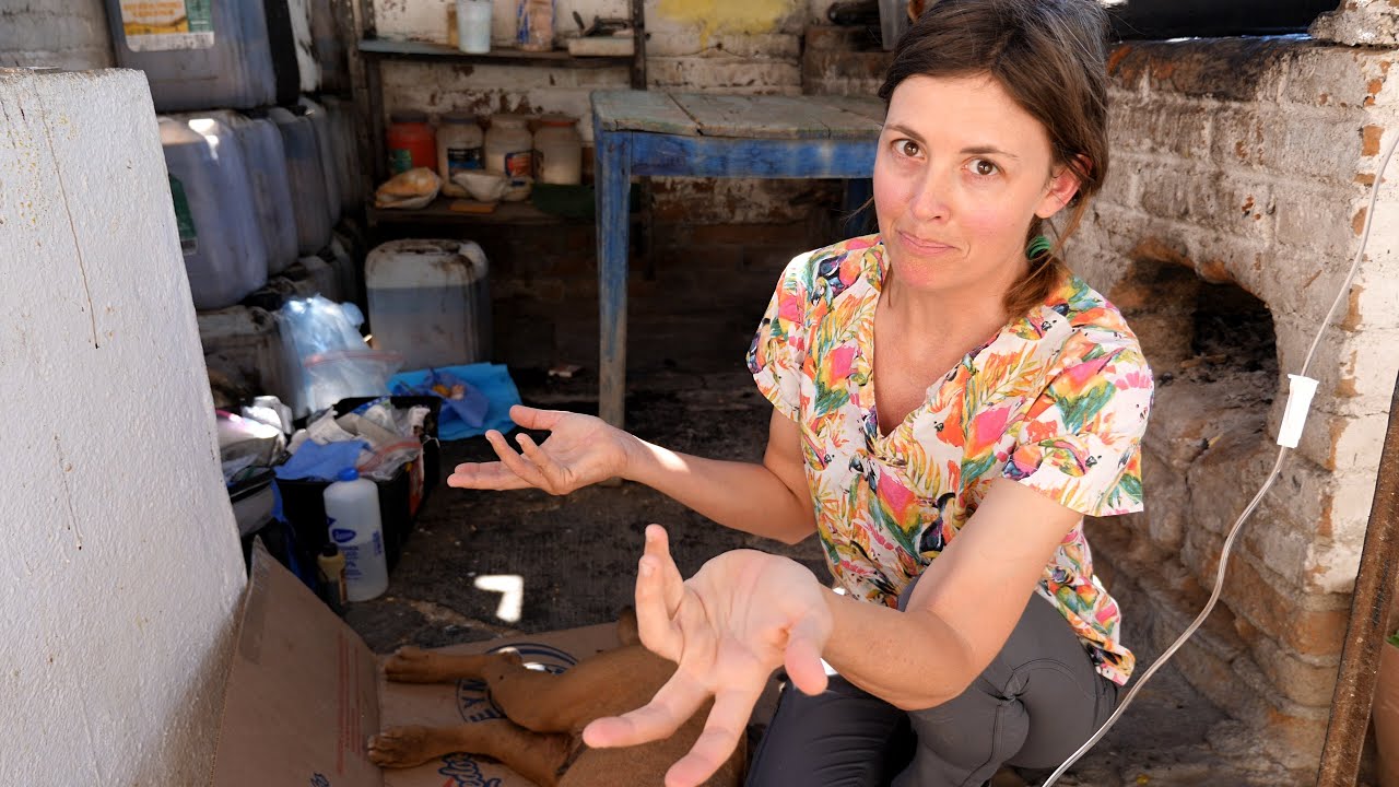 Emergency Surgery! Chuffed Adventures S7Ep14