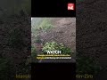 Massive landslide blocks Potin-Ziro highway amid heavy rain in Arunachal