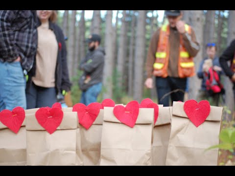 Forest of Hope:
