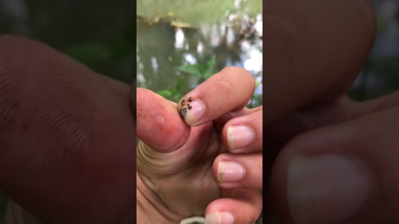 Puyo na parang kumain ng kababalaghan 😆