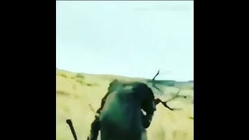 ARMY STATUS// JAT REGIMENT // ANKIT Sihag JAT