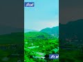 ابوبكر سالم امي اليمن