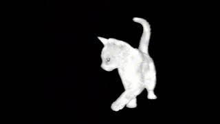 frozy - carascene (slowed)