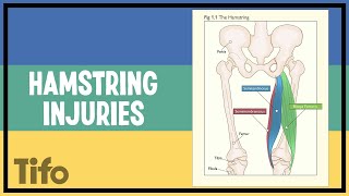 What actually are hamstring injuries?