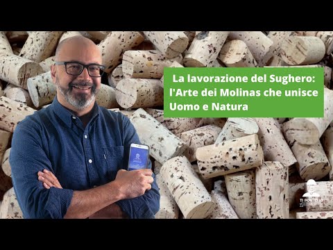 Video: Il sughero è un legno?