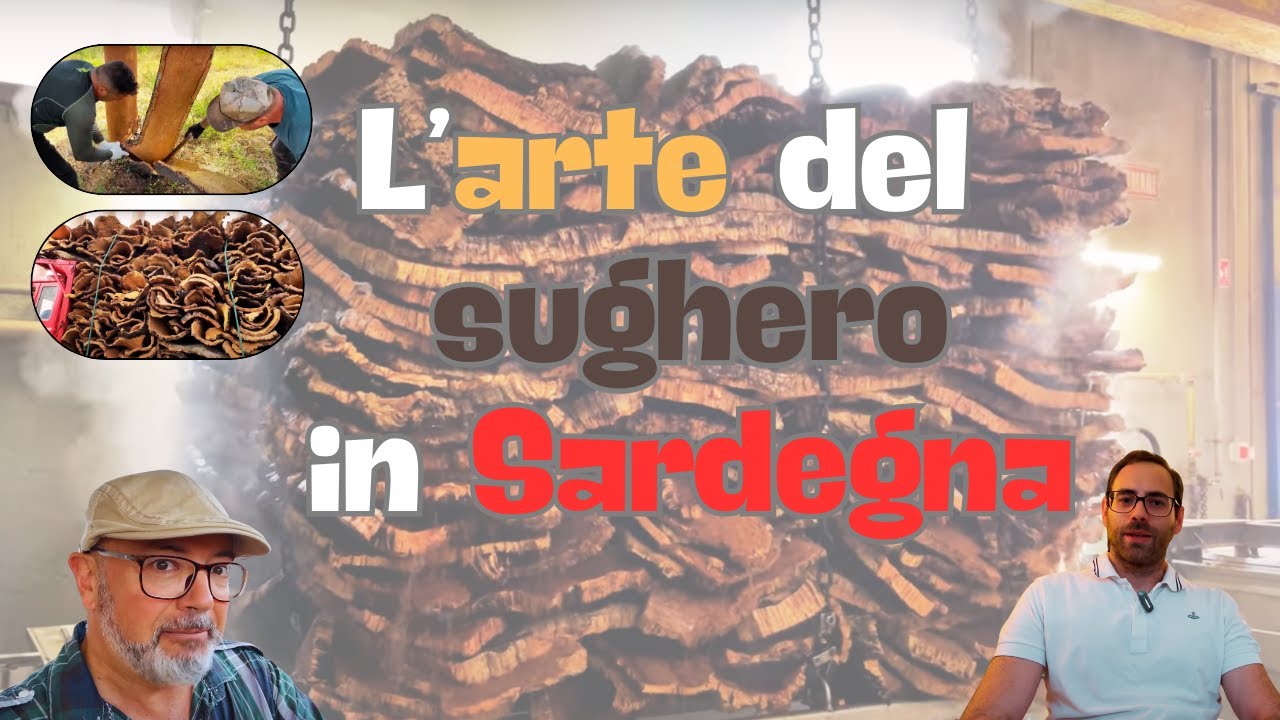 Il Sughero: un'Arte tramandata nel Rispetto della Natura