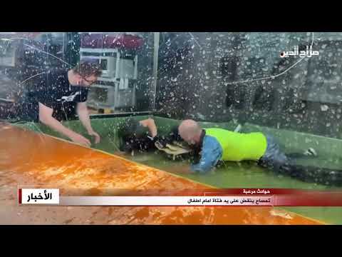 تمساح ينقض على يد فتاة امام اطفال