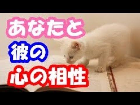 あなたと彼との心の相性がわかる心理テスト