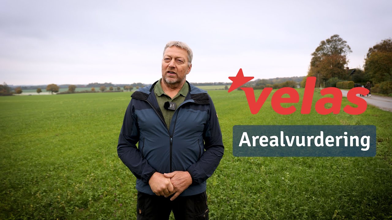 Velas Arealvurdering ved Nis Hjort