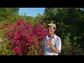 昭和歌謡の名曲は佐良直美の『フラワー・フェスティバル』歌う!#昭和歌謡 #佐良直美 #70年代歌謡曲 #懐メロ #小林亜星 #想い出のメロディー #広島 #フラワーフェスティバル #昭和歌謡カバー