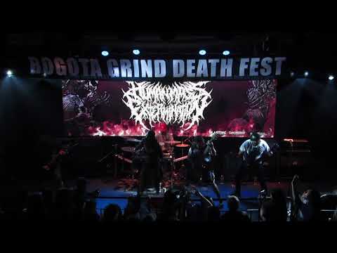 Human Mass Extermination - Bogota Grind Death Fest XXII (Live @ Ace of Spades 08.06.2024)