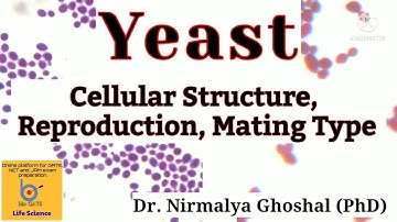 Yeast: Structure, Mode of Reproduction, Mating Type Switching #yeast
