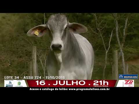 LOTE 034