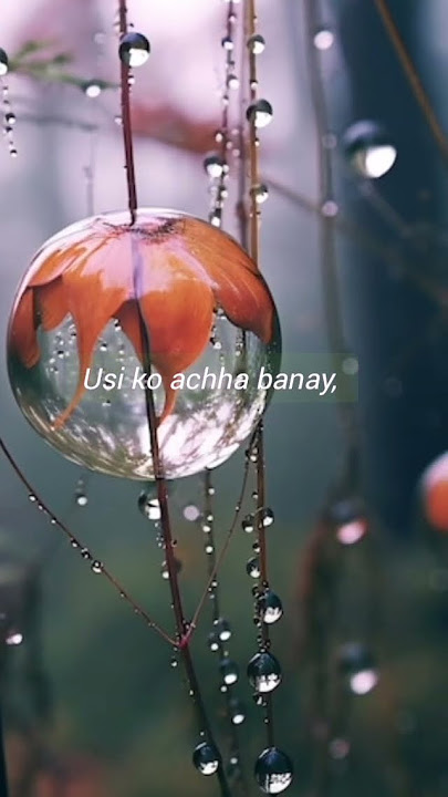 Motivational quotes #sad #best #hindi #shayari #status #doline #motivation #line #link #lov #breakup