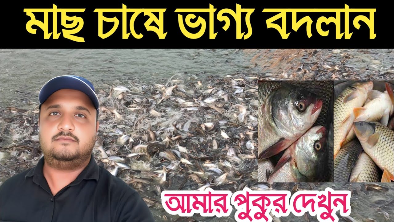 অল্প পুঁজিতে মাছ চাষ | বেকারদের জন্য সেরা ব্যবসার আইডিয়া / Fish farming / বংশী এগ্রো