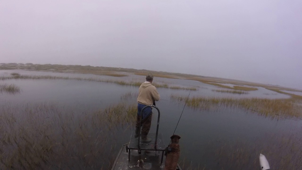 In the Gunner's Chair-- a Rail Bird/Marsh hen Hunt outside Charleston, SC"