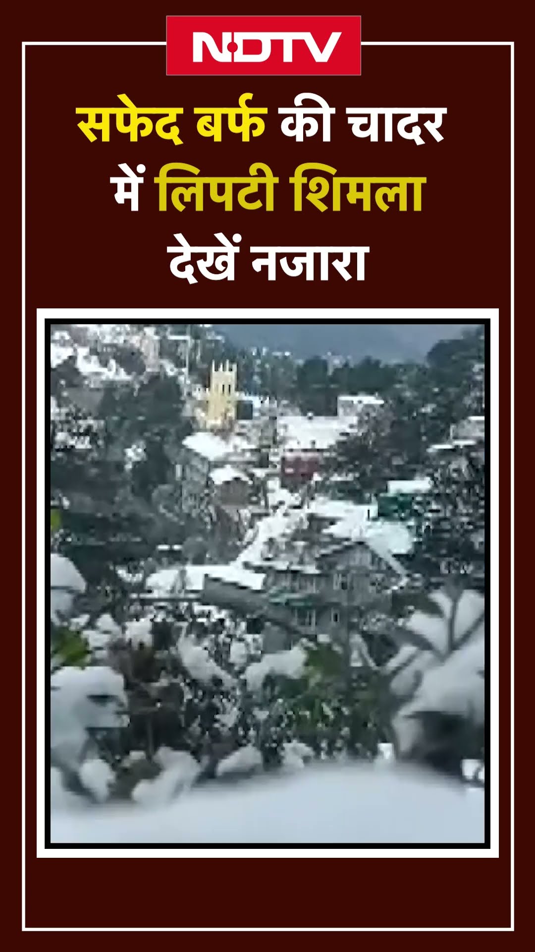 Himachal Pradesh: Shimla में साल की पहली Snowfall, बर्फ की चादर से ढकी वादियां | SHORTS