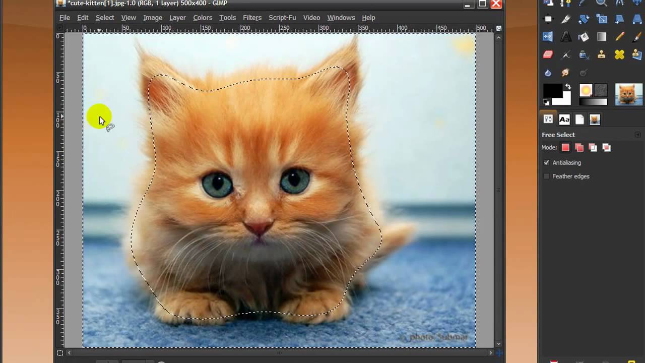Gimp/Photoshop-Cut out an image with free select tool/lasso tool (of furry cute kitten) - YouTube