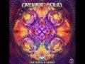 Organic soup  happy new year 2014 set psytrancegoafullon