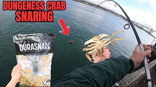 Dungeness Crabbing With Durasnare Crab Snares On Newports Historic Bayfront I Yaquina Bay Crabbing