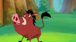 Timon & Pumbaa Boara Boara Full Episodes
