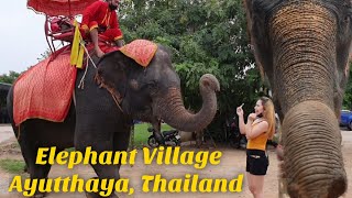 Elephant Village | วังช้างอยุธยา แล เพนียด Ayutthaya Elephant Palace & Royal Kraal