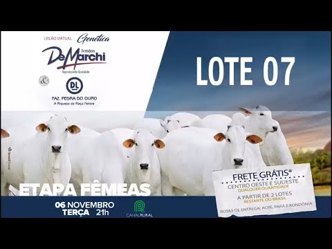 LOTE 07 (IDM 8015)