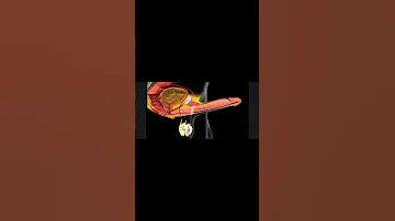 عملية انتصاب القضيب لممارسة الجنس 