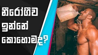 ඔයත් වතුර බොන්නෙ නැද්ද? වතුර බොන්න බැරිවෙනවද? අනිවාරයෙන් බලන්න Drink lots of water