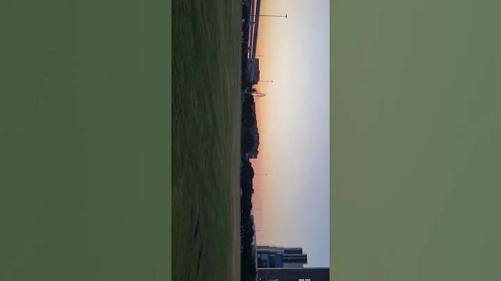 Prince Concert History at Reunion Arena, Dallas, Texas, USA