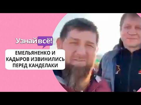 Емельяненко и Кадыров извинились перед Канделаки (новости)