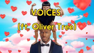 KSI - Voices (ft. Oliver Tree) (Unofficial Official Lyric Video)