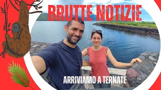 ARRIVO NELLE MOLUCCHE NON PROPRIO DEI MIGLIORI