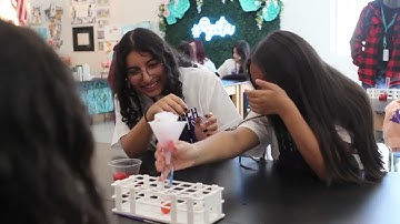 Pair of Dice FRC 7426 Impact Video 2025