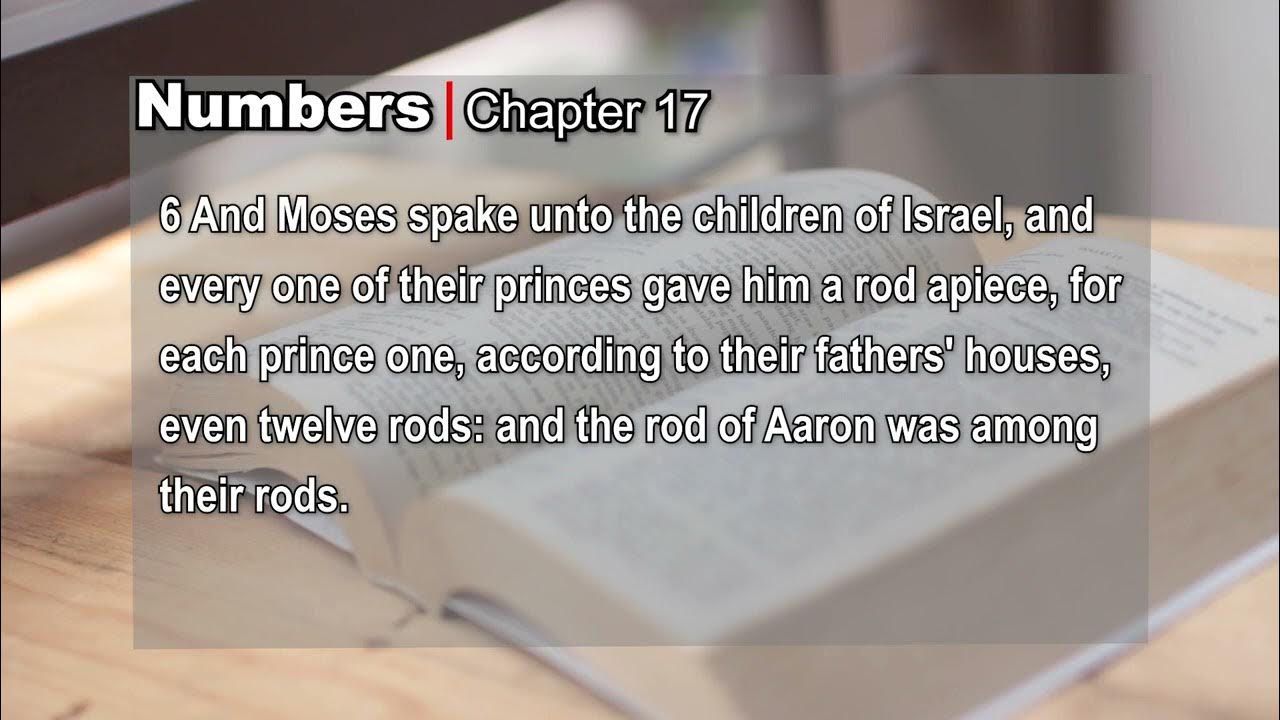 Numbers Chapter 17 kjv YouTube