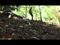 Borderline - No hay más (Dirigido por FourD)