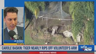 WFLA Now: Tiger nearly tears off volunteer's arm at Big Cat Rescue in Tampa, Carole Baskin says